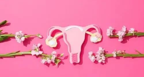 Setembro em Flor: FEBRASGO e a Importância da Prevenção do Câncer Ginecológico