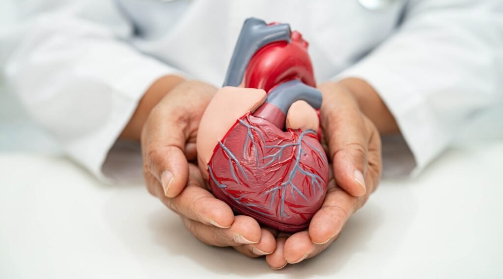 Prevenção de Doenças Cardiovasculares: Um guia completo para sua saúde.