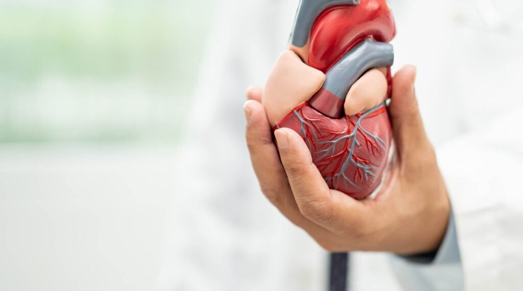 Histórico Familiar de Doenças Cardíacas: Sua importância na prevenção.